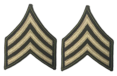AGSU CHEVRONS E5 Sergeant 